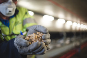 Compressed wood pellets [Image courtesy Drax Power]